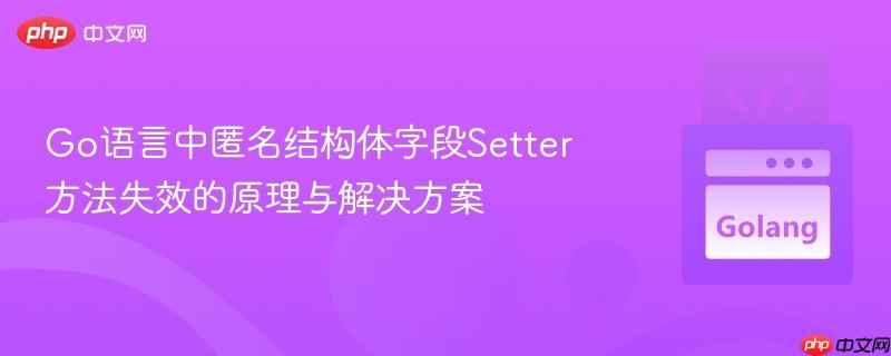 Go语言中匿名结构体字段Setter方法失效的原理与解决方案