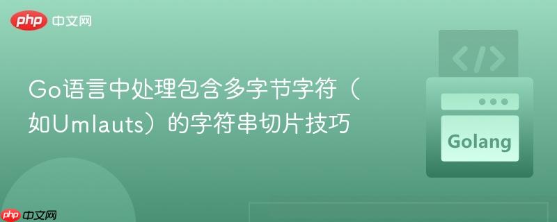 Go语言中处理包含多字节字符（如Umlauts）的字符串切片技巧