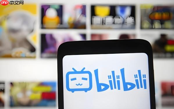 bilibili大会员手机端开通中心-bilibili大会员官方续费平台