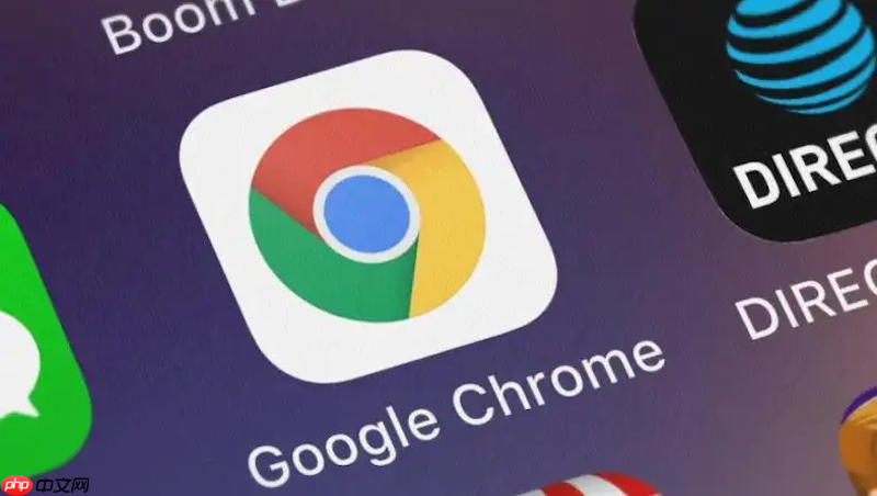 谷歌浏览器下载文件速度慢怎么办 谷歌浏览器加速下载的实用技巧