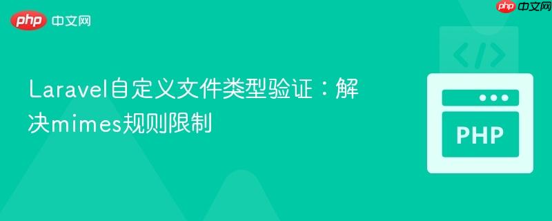Laravel自定义文件类型验证：解决mimes规则限制