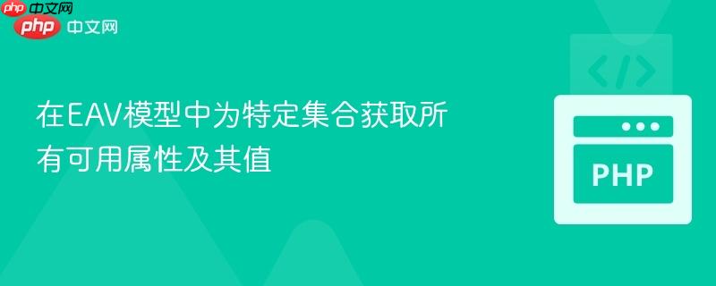 在eav模型中为特定集合获取所有可用属性及其值
