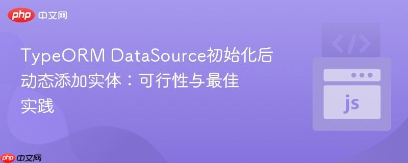 TypeORM DataSource初始化后动态添加实体：可行性与最佳实践