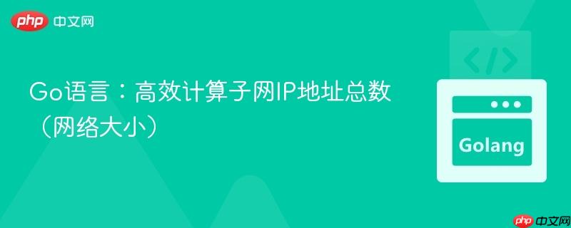 Go语言：高效计算子网IP地址总数（网络大小）
