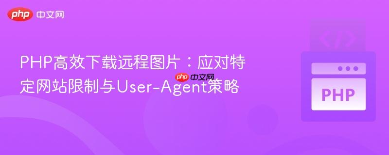 PHP高效下载远程图片：应对特定网站限制与User-Agent策略