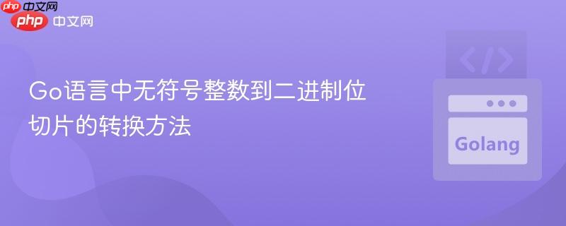 Go语言中无符号整数到二进制位切片的转换方法