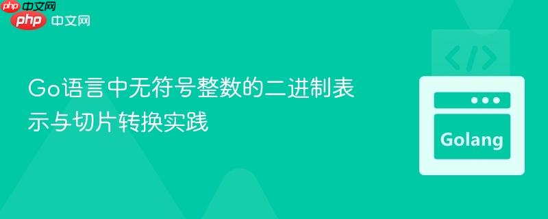 Go语言中无符号整数的二进制表示与切片转换实践