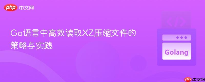 Go语言中高效读取XZ压缩文件的策略与实践