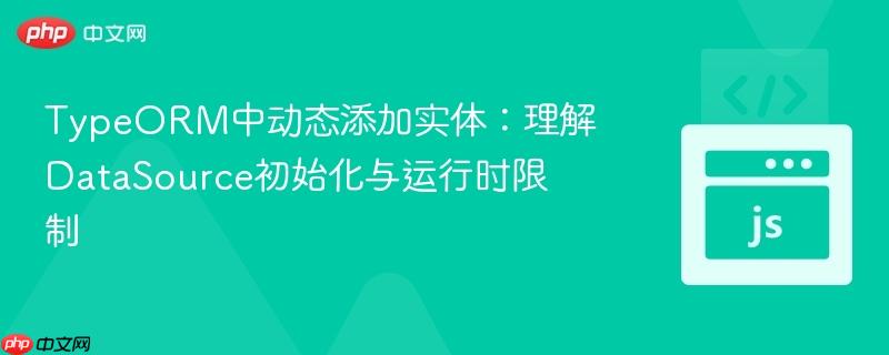 TypeORM中动态添加实体：理解DataSource初始化与运行时限制
