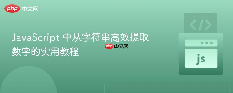 JavaScript 中从字符串高效提取数字的实用教程