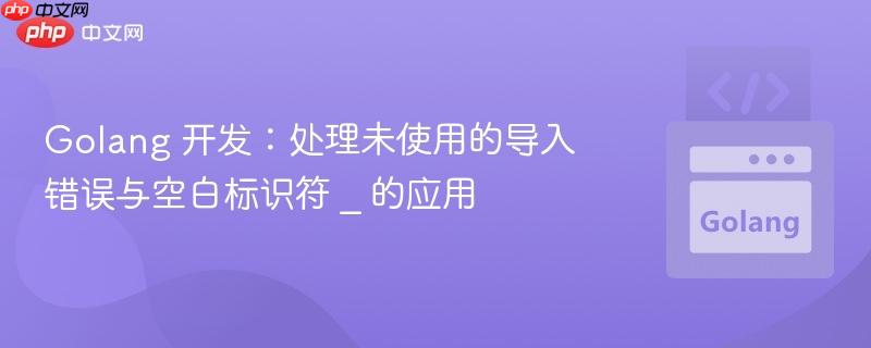Golang 开发：处理未使用的导入错误与空白标识符 _ 的应用