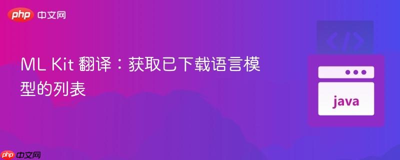 ML Kit 翻译：获取已下载语言模型的列表