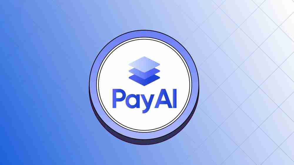 什么是payai network(payai)币？payai项目概览、代币经济学及价格预测