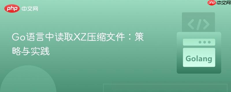 Go语言中读取XZ压缩文件：策略与实践