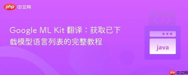 Google ML Kit 翻译：获取已下载模型语言列表的完整教程