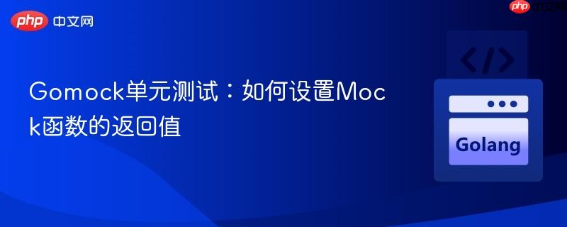 Gomock单元测试：如何设置Mock函数的返回值