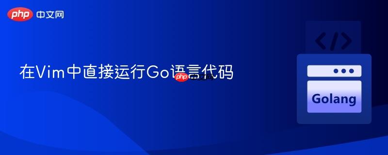 在Vim中直接运行Go语言代码