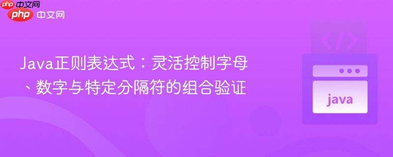 Java正则表达式：灵活控制字母、数字与特定分隔符的组合验证
