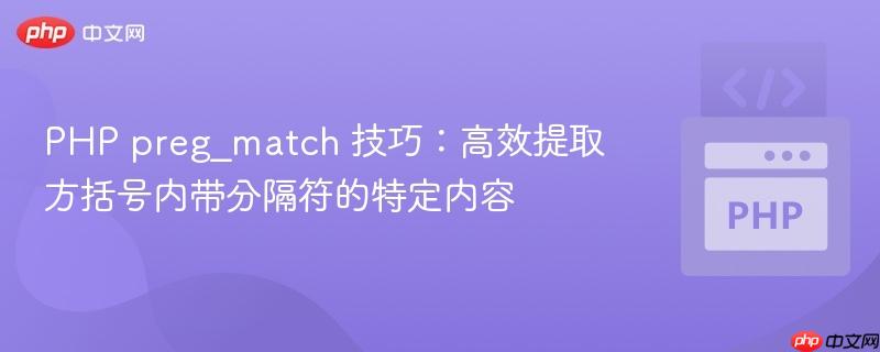 PHP preg_match 技巧：高效提取方括号内带分隔符的特定内容