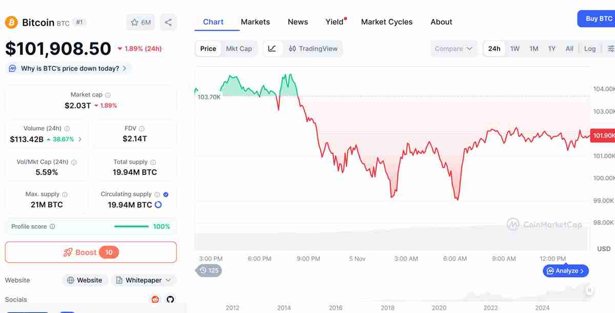 随着比特币（BTC）跌破10万美元，Arthur Hayes与Bitwise首席投资官仍维持看涨立场解读