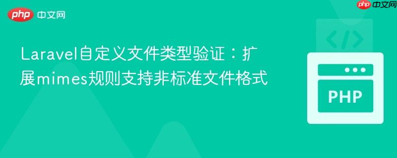 Laravel自定义文件类型验证：扩展mimes规则支持非标准文件格式