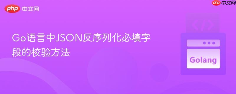 Go语言中JSON反序列化必填字段的校验方法
