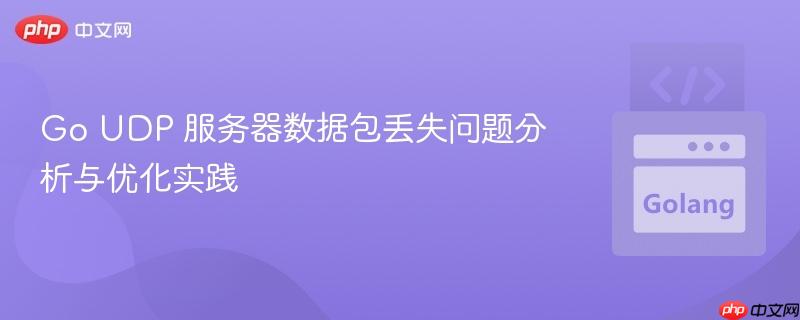 Go UDP 服务器数据包丢失问题分析与优化实践
