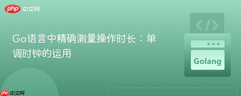 Go语言中精确测量操作时长：单调时钟的运用