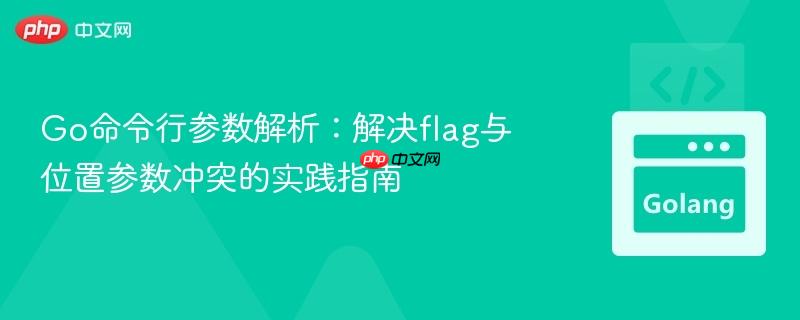 Go命令行参数解析：解决flag与位置参数冲突的实践指南