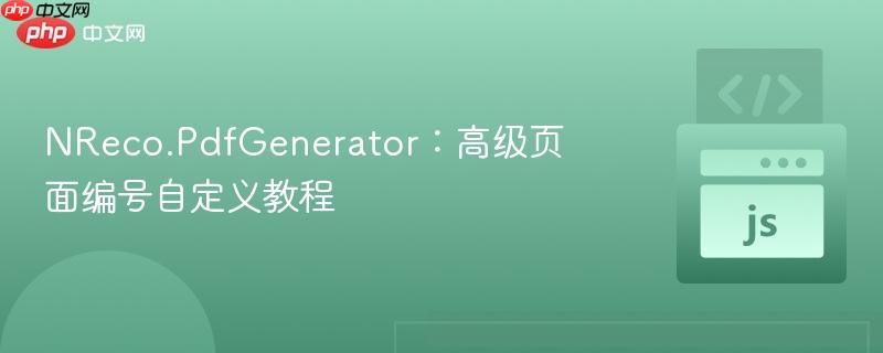 NReco.PdfGenerator：高级页面编号自定义教程