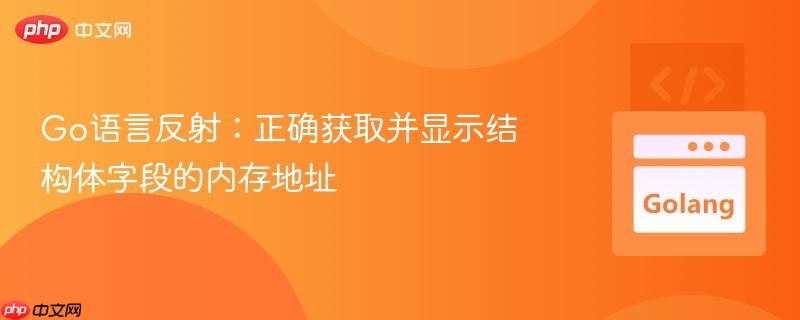 Go语言反射：正确获取并显示结构体字段的内存地址