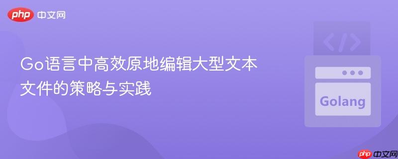 Go语言中高效原地编辑大型文本文件的策略与实践