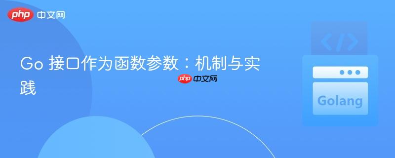 Go 接口作为函数参数：机制与实践