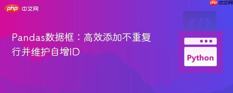 Pandas数据框：高效添加不重复行并维护自增ID