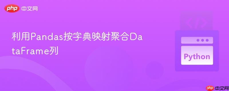 利用Pandas按字典映射聚合DataFrame列