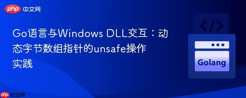 Go语言与Windows DLL交互：动态字节数组指针的unsafe操作实践