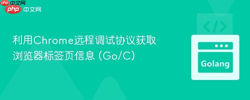 利用Chrome远程调试协议获取浏览器标签页信息 (Go/C)