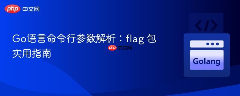 Go语言命令行参数解析:flag 包实用指南