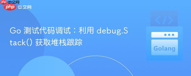 Go 测试代码调试：利用 debug.Stack() 获取堆栈跟踪