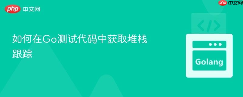 如何在Go测试代码中获取堆栈跟踪