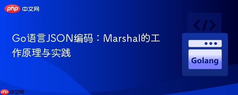 Go语言JSON编码：Marshal的工作原理与实践