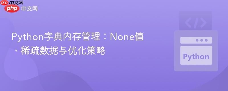 Python字典内存管理：None值、稀疏数据与优化策略