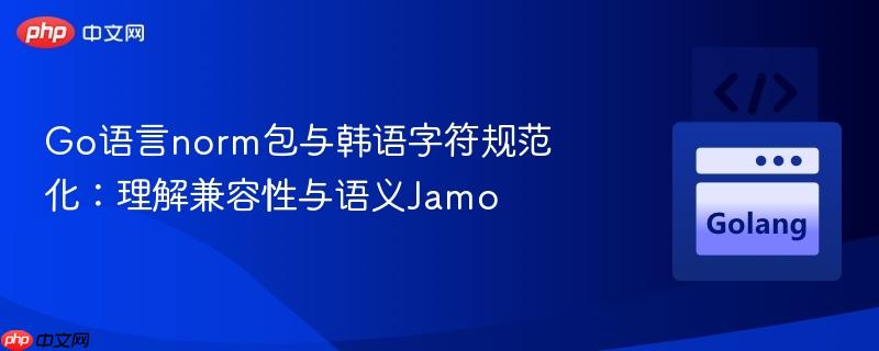 Go语言norm包与韩语字符规范化：理解兼容性与语义Jamo