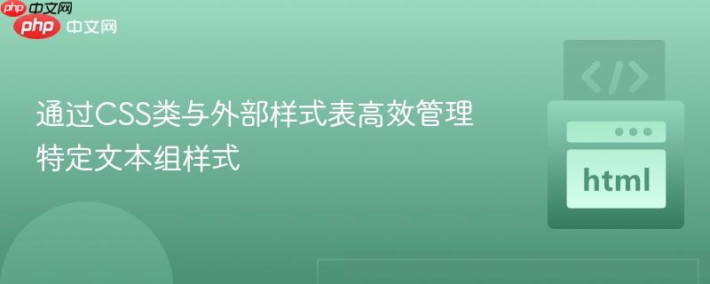 通过CSS类与外部样式表高效管理特定文本组样式