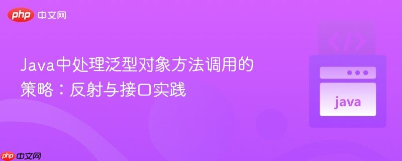 Java中处理泛型对象方法调用的策略：反射与接口实践