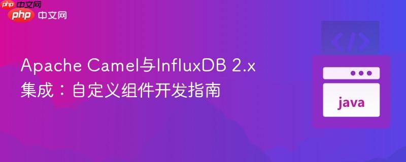 Apache Camel与InfluxDB 2.x集成：自定义组件开发指南