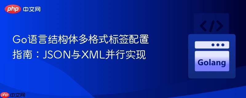 Go语言结构体多格式标签配置指南：JSON与XML并行实现