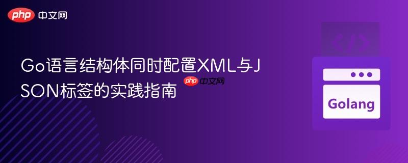 Go语言结构体同时配置XML与JSON标签的实践指南