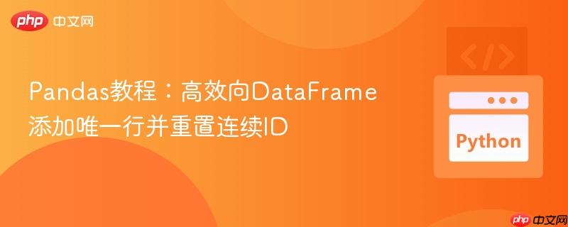 Pandas教程：高效向DataFrame添加唯一行并重置连续ID
