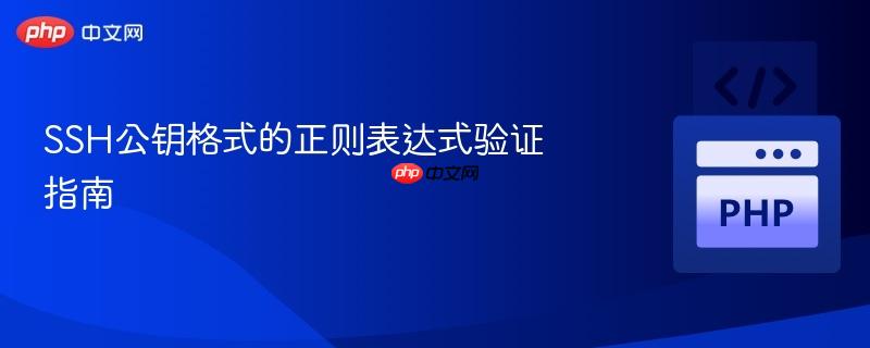 SSH公钥格式的正则表达式验证指南